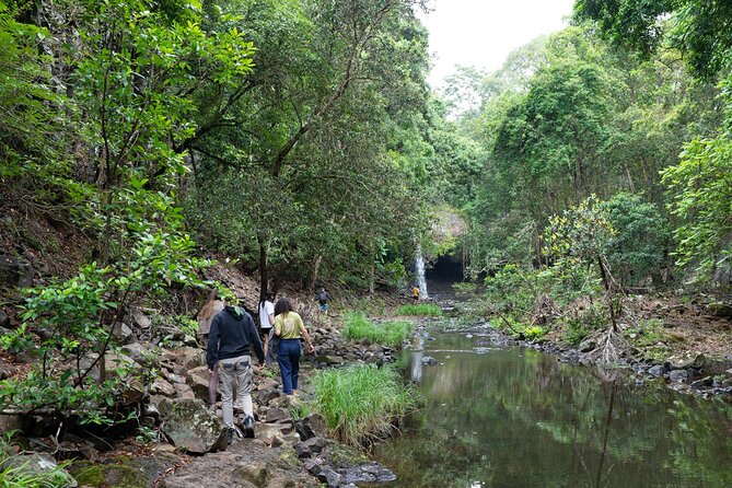 Minyon Falls: Explore the Rainforest - Discovering Minyon Falls