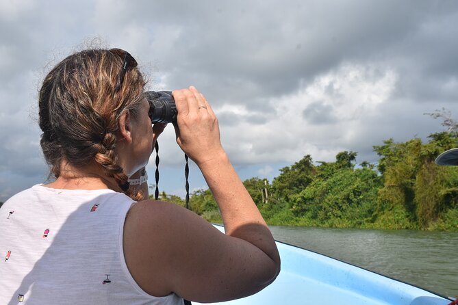 Monkey River Wildlife Encounters and Manatee Watch