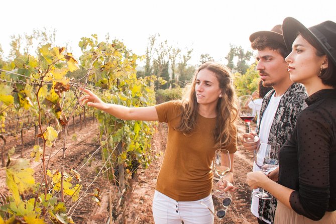 Montserrat With Cogwheel Train,Gourmet Wine Tasting & Tapas/Lunch