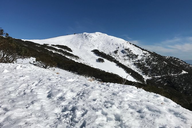 Mount Buller Snow Day Boutique Trip – Max 11 People