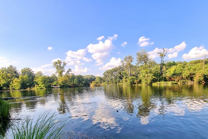 Mountainbike Magic: Viennas Forest, Danube, Monastery and Wine.