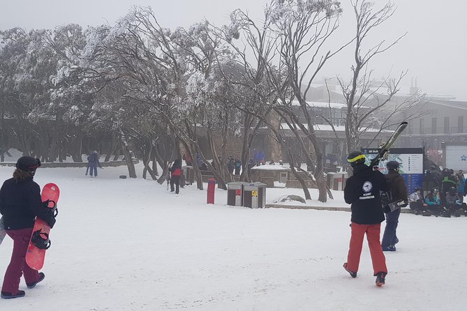 Mt Buller Day Trip From Melbourne - Planning Your Mt Buller Trip