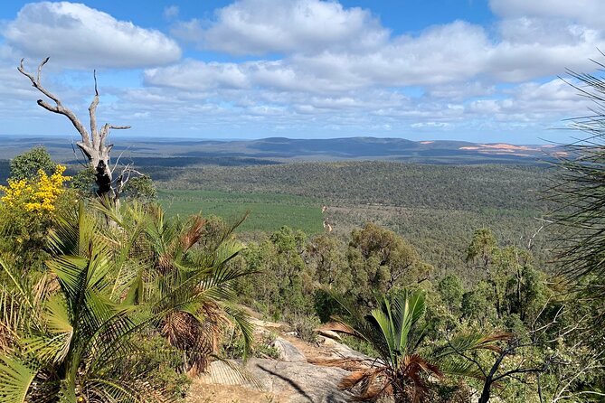 Mt. Cooke Half Day Hiking Experience