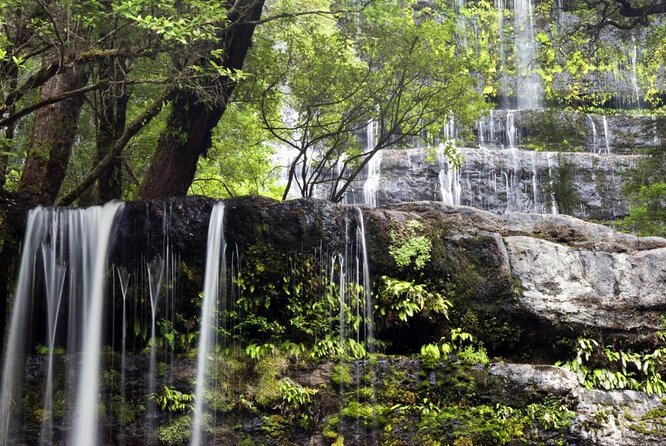 Mt Field National Park and Russell Falls From Hobart