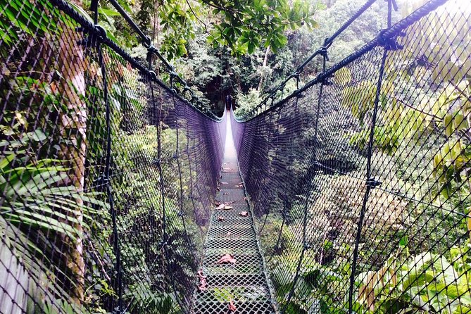 Mulguri Waterfalls and Local Farm Visit in Manuel Antonio  - Quepos - Itinerary Highlights