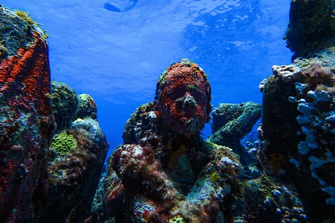 MUSA Museum and Colorful Reef 2 Tank Dive-Certified Divers - Dive Itinerary Highlights