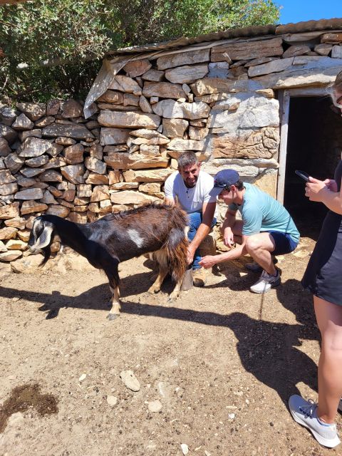 Naxos: Private E-Bike Tour With Lunch Ode-Yssey Uncharted