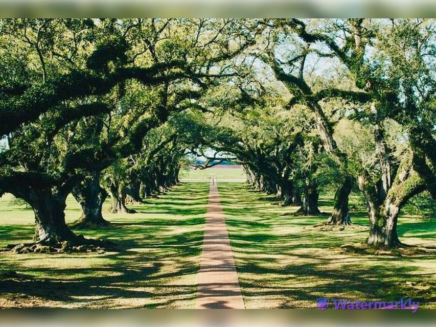New Orleans: Oak Alley Plantation & City and Katrina Tour - Creole History and Oak Alley Plantation