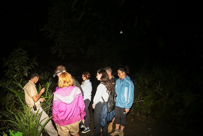 Night Walk Experience at Natura Eco Park, (Frogs Snakes Mammals Insects Birds)