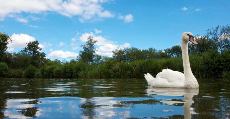 Norfolk Broads – Canoe Camping Excursion