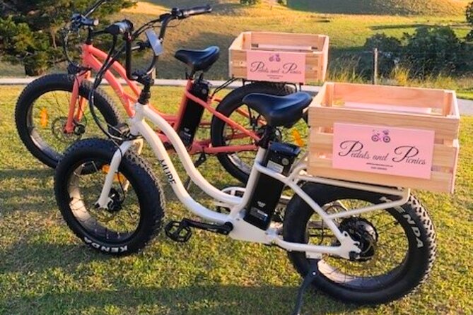 Northern Rivers Rail Trail Ebike and DIY Picnic Hire Full Day