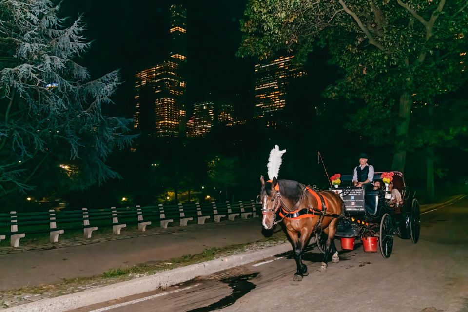 NYC MOONLIGHT HORSE CARRIAGE RIDE Through Central Park - Booking Details