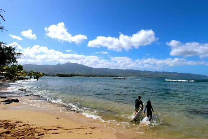Oahu: Haleiwa Swimming With Sharks Cage-Free Experience - Overview of the Experience