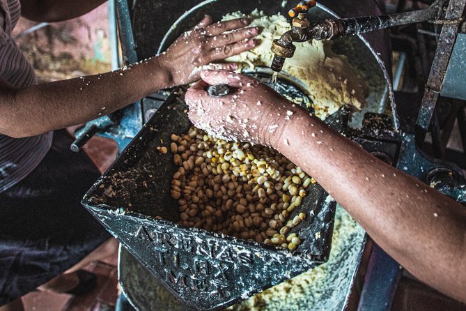 Oaxaca Cuisine and Market Tour: Small-Group Cooking Class  – Oaxaca City