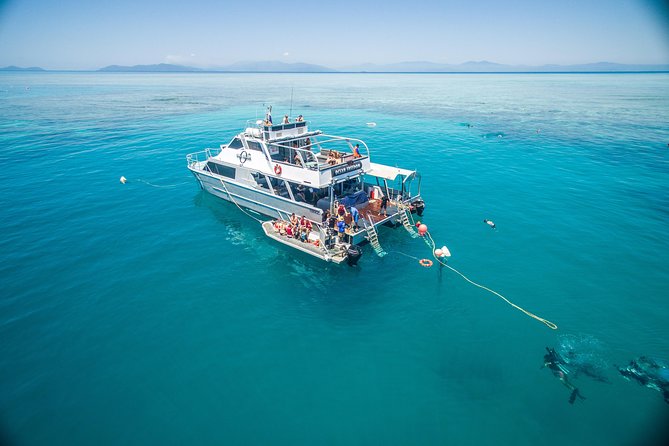 Ocean Freedom Great Barrier Reef Luxury Snorkel and Dive Cruise