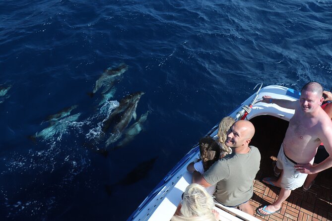 Odyssee 3: The Glass Bottom Boat Tour in Fuerteventura