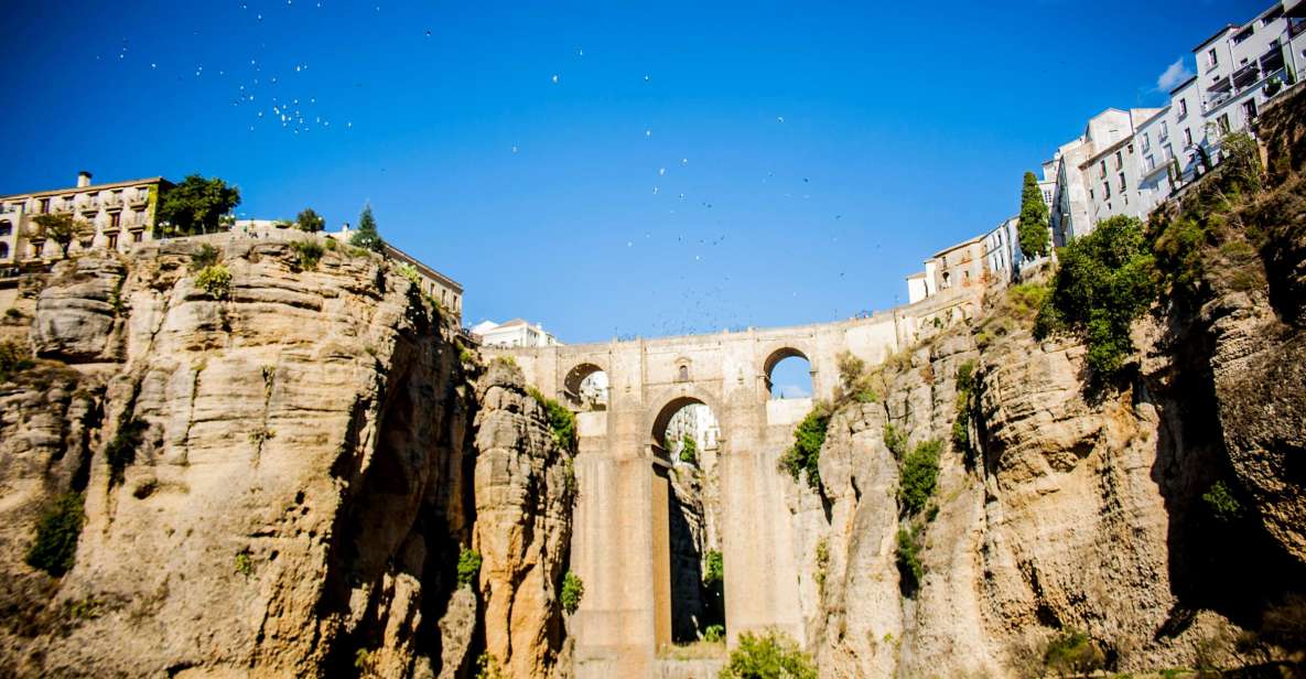 One Day Trip Ronda From Málaga - Overview