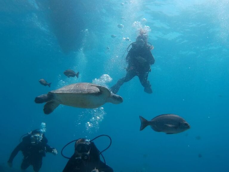 PADI Open Water Course in 3 Days