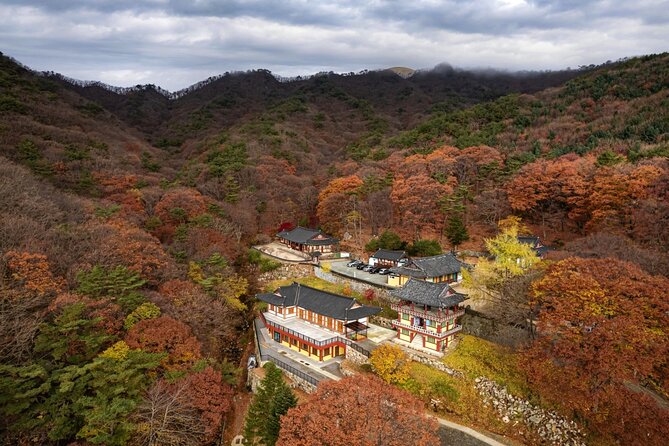 Palgongsan Natural Park Autumn Foliage One Day Tour From Busan - Experience Autumn Foliage in Busan