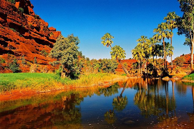 Palm Valley 4WD Day Tour