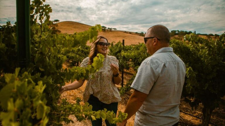 Paso Robles: Sidecar Deluxe Wine Tour With Tastings