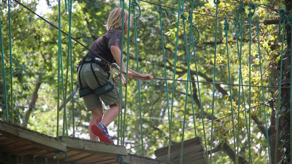 Pau - Tree Climbing - Lacq Adventure - Booking and Cancellation Details