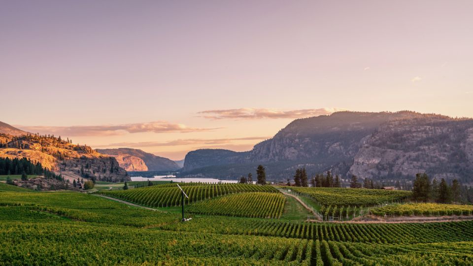 Penticton Wineries Tour - Tour Pricing and Duration