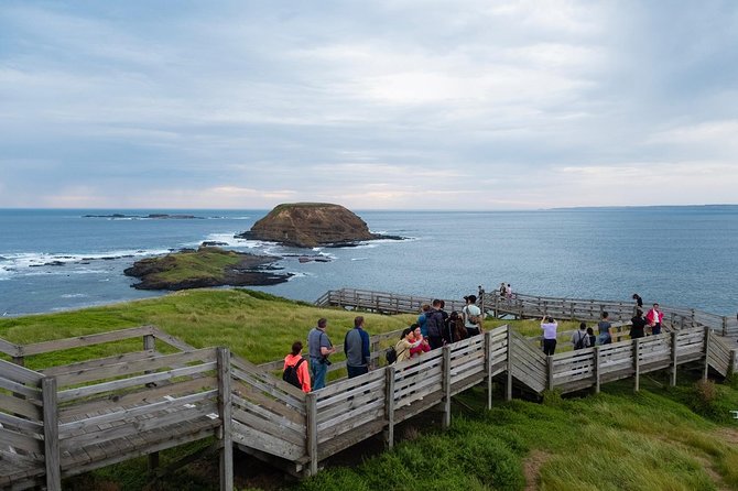 Phillip Island Penguin, Brighton Beach, Moonlit Sanctuary From Melbourne - Tour Overview and Highlights