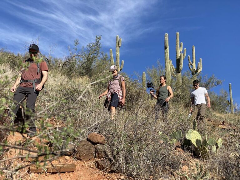 Phoenix: Sonoran Desert Guided Hiking Adventure