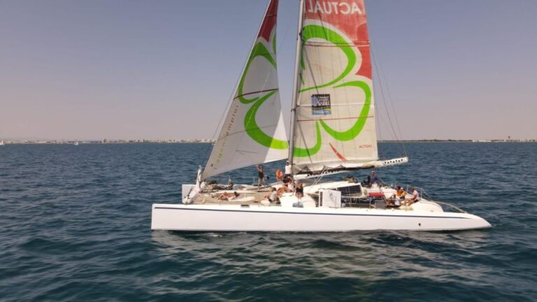 Port Camargue: Half-Day Sailing Tour on a Racing Catamaran