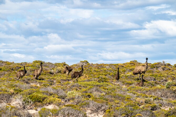 Port Lincoln Full-day Exploration Tour - Exploring Port Lincolns Hidden Gems