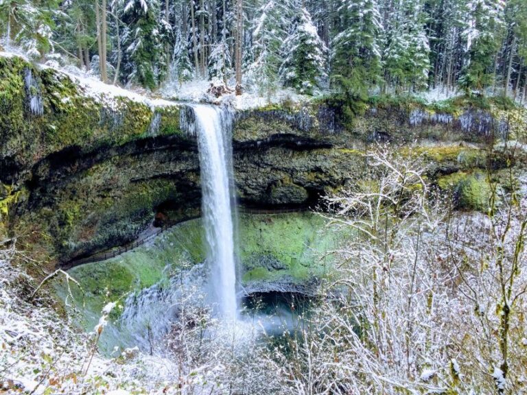 Portland: Silver Falls Hike and Wine Tour