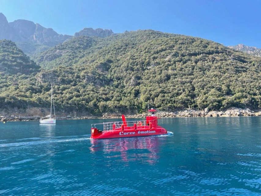 Porto: Discovery of Marine Fauna and Flora/Bay of Porto - Discovering Porto Bays Hidden World