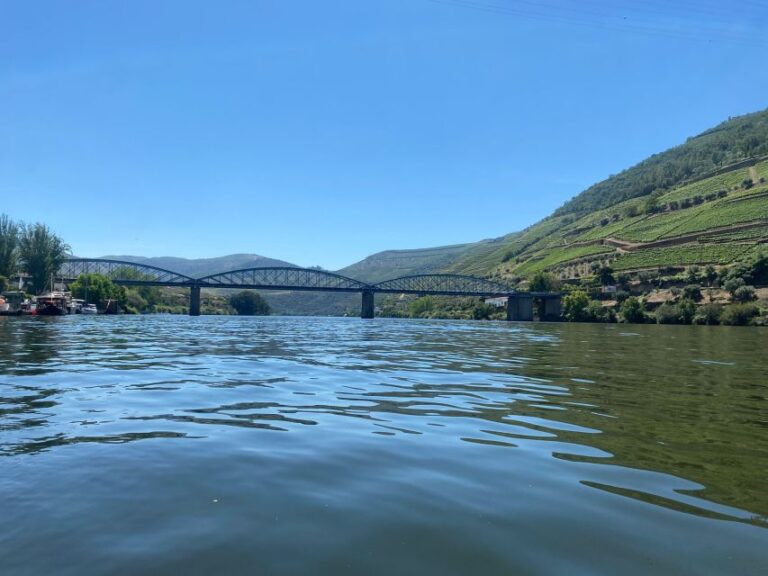 Porto: Douro Valley Private Tour 2 Vineyards & River Cruise