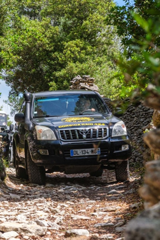 Porto Vecchio: Cuscionu Plateau & Alta Rocca 4×4 Tour