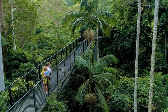 Premium Springbrook Natural Bridge, Glow Worm Cave & Skywalk - Discovering Natural Bridge Wonders