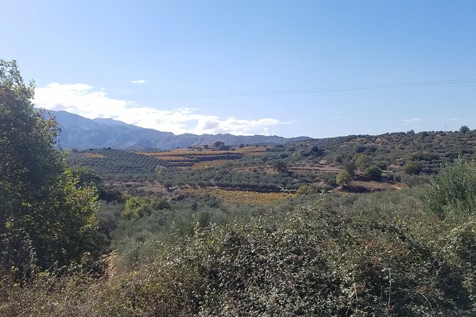 Private Crete Mountain Villages Wine and Food Tour