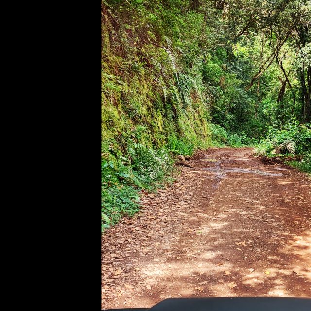 Private Halfday & Eucalyptus Forest Offroad