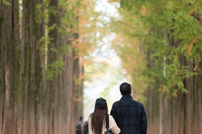 Private Nami Island Photo Shoot and Tour With a Photographer - What to Expect on This Tour