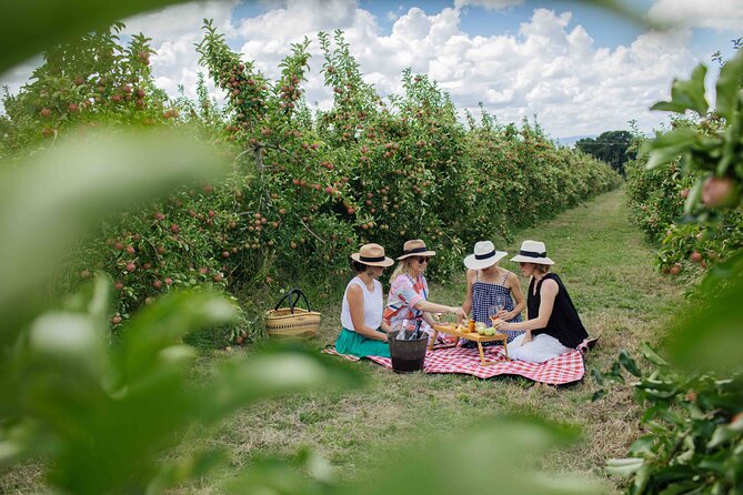 Private Picnic Lunch Experience in Orange With Wine