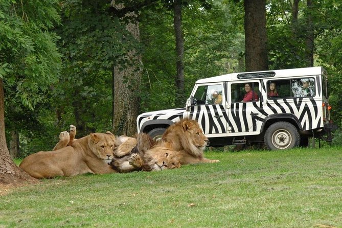 Private Return Transfer Thoiry Zoo Safari From Paris