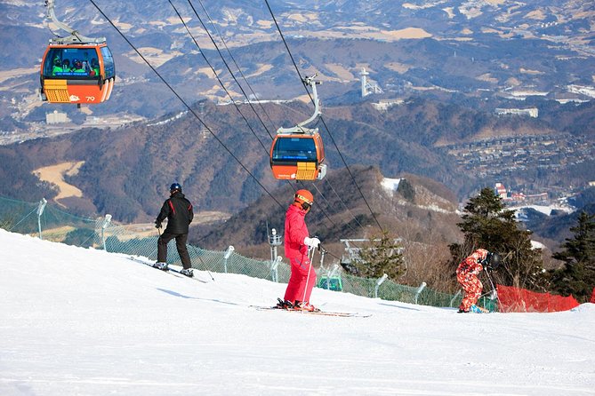 Private Ski Tour to Jisan, Vivaldy or Elysian Ski Resort