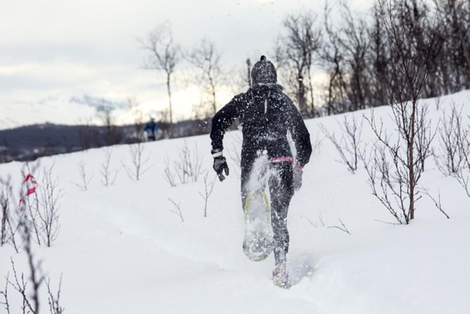 Private Snowshoeing Full Day - Activity Overview