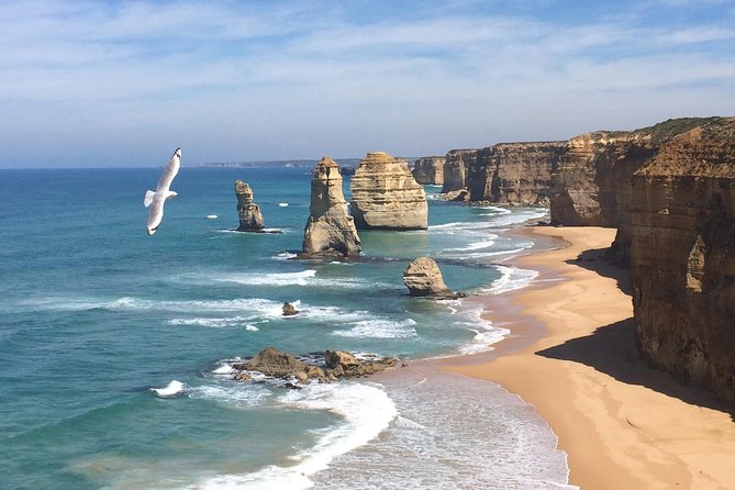 [PRIVATE TOUR] 12 Apostles | Great Ocean Road | Day Trip