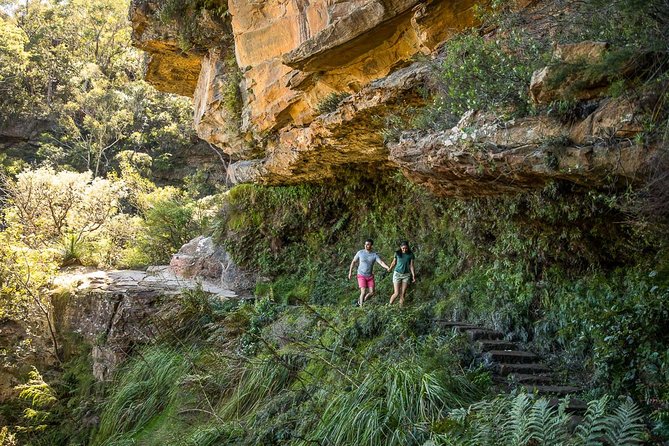 Private Tour: Blue Mountains Hiking & Nature - Nature Escapes in Luxury