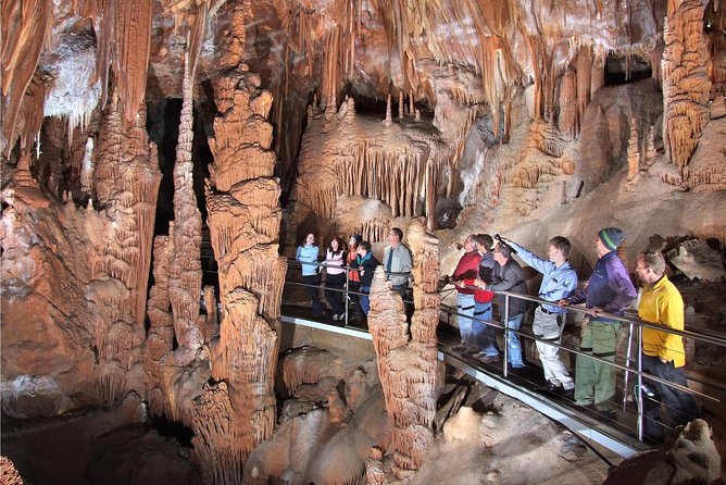 Private Tour: Jenolan Caves & Blue Mountains in a Day