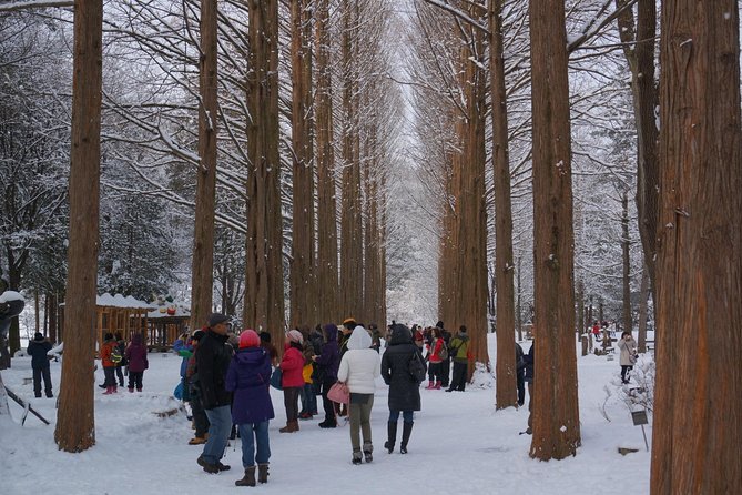 Private Tour Nami Island With Petite France And/Or the Garden of Morning Calm - Exploring Nami Island and Petite France