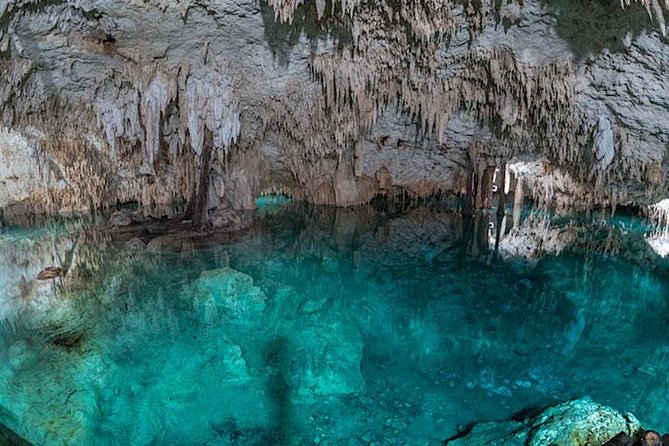 Private Tour to Coba Ruins and Swim in Cenote