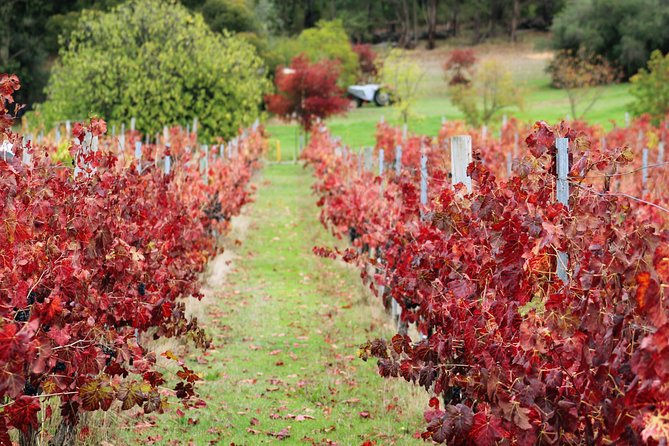 Private Wine Tour From Perth: Bickley Valley Half-Day