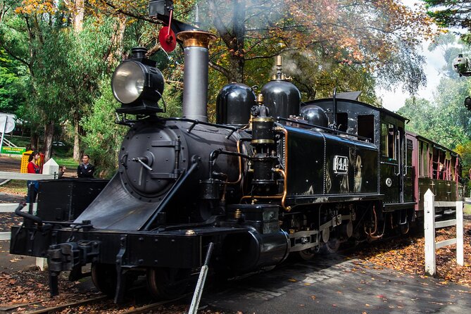 Puffing Billy And Phillip Island Penguin Parade Bus Tour